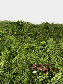 Декоративне зелене покриття-фітостіна "Valley" Engard модель GCK-23 Фото