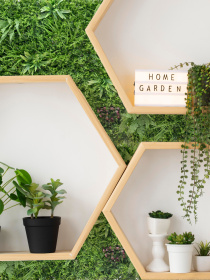 Декоративне зелене покриття-фітостіна "Valley" Engard модель GCK-23 Фото