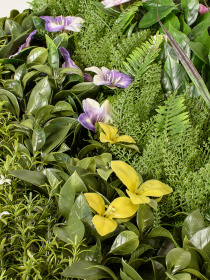 Декоративне зелене покриття-фітостіна "Blossom Carnival" Engard модель GCK-24 Фото