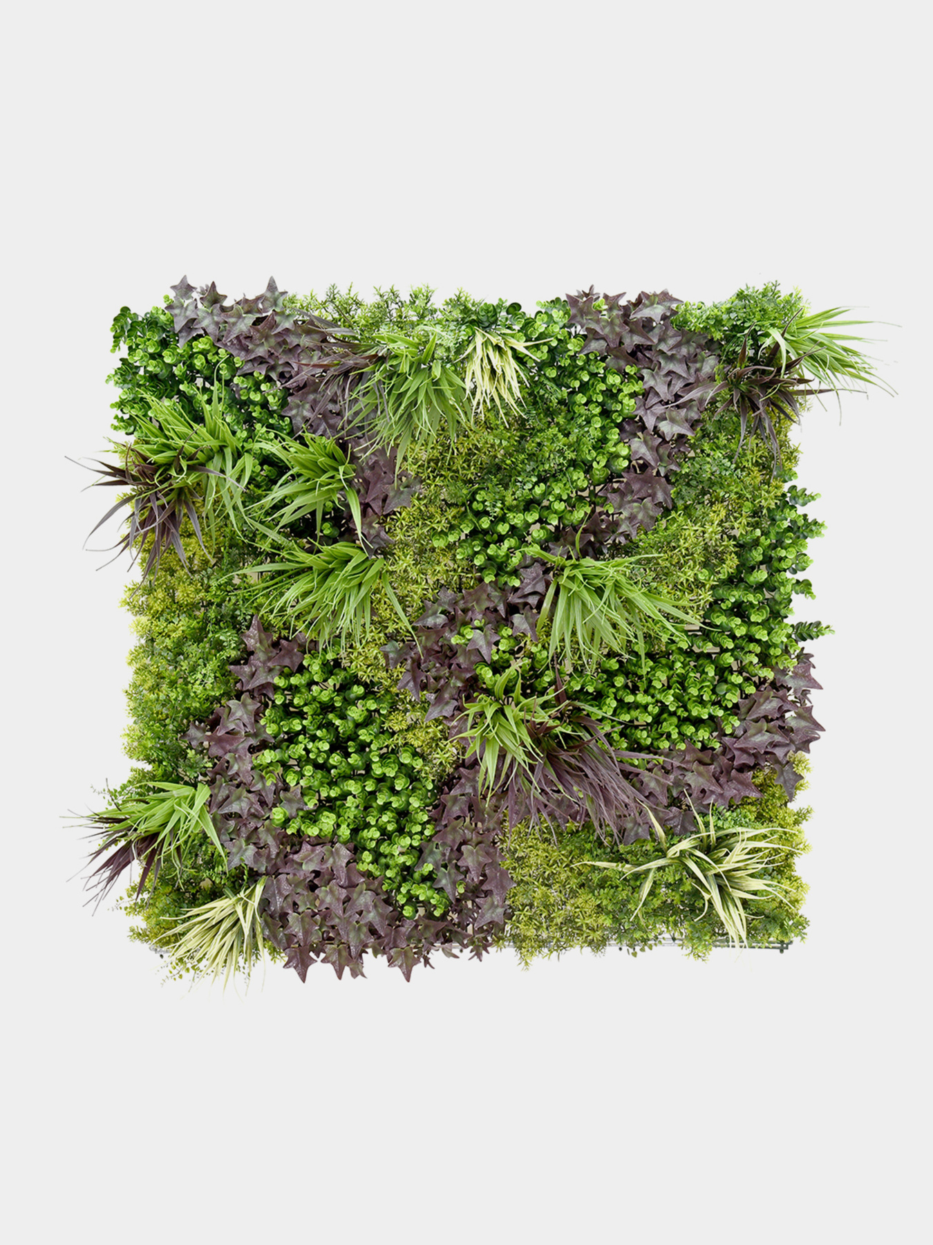 Декоративное зеленое покрытие-фитостена "Monet Gardens" Engard модель GCK-25 Фото