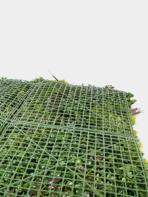 Декоративное зеленое покрытие-фитостена "Monet Gardens" Engard модель GCK-25 Фото