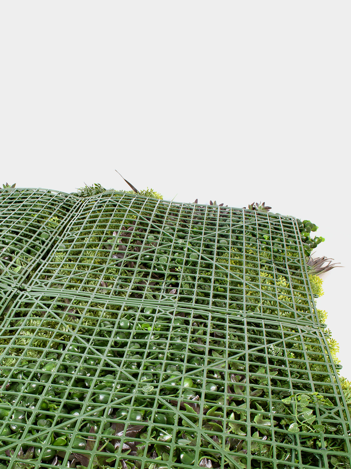 Декоративне зелене покриття-фітостіна "Monet Gardens" Engard модель GCK-25 Фото