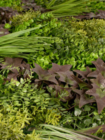 Декоративне зелене покриття-фітостіна "Monet Gardens" Engard модель GCK-25 Фото