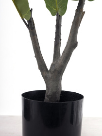 Искусственное растение "Fiddle" Engard модель TW-01 Фото