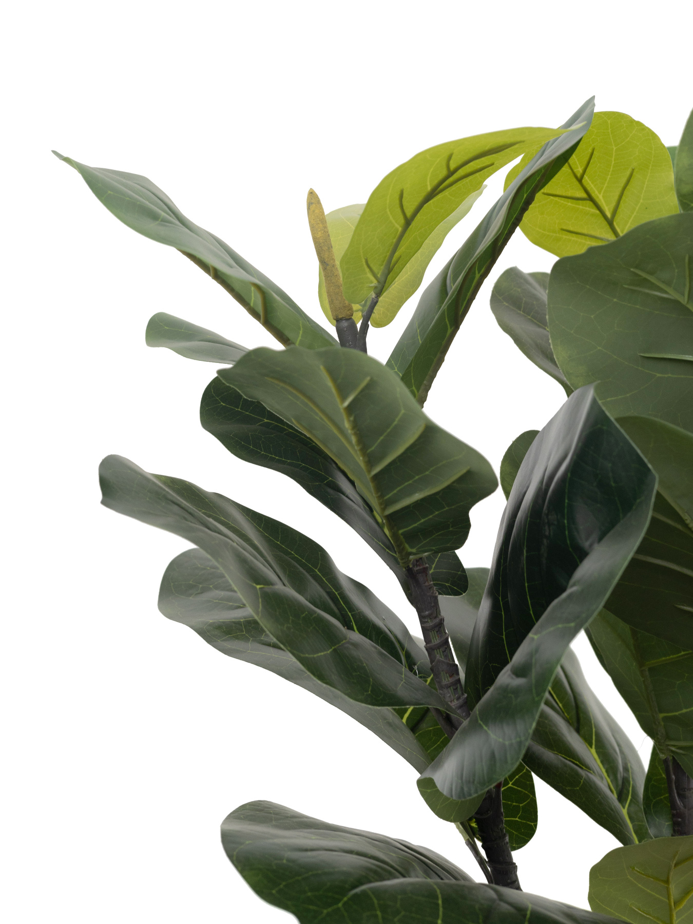 Штучна рослина "Fiddle" Engard модель TW-01 Фото