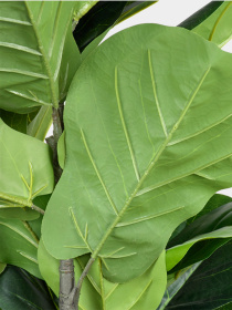 Искусственное растение "Fiddle", 150 см Engard модель TW-02 Фото