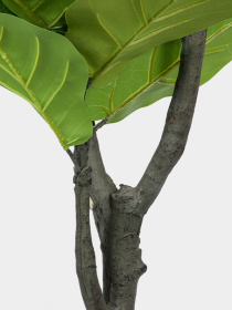 Штучна рослина "Fiddle" Engard модель TW-02 Фото