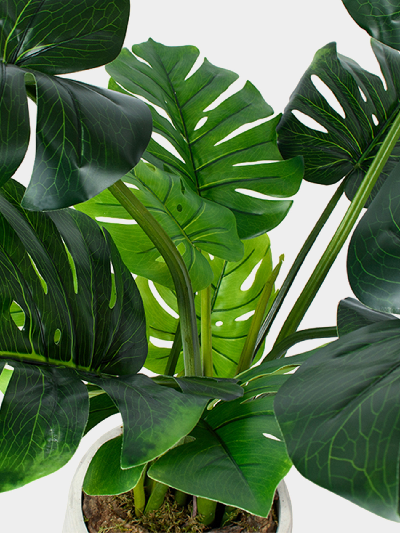 Искусственное растение "Monstera" Engard модель TW-04 Фото