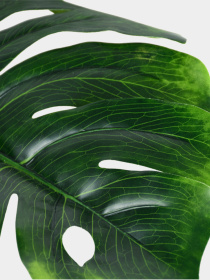 Штучна рослина "Monstera" Engard модель TW-04 Фото