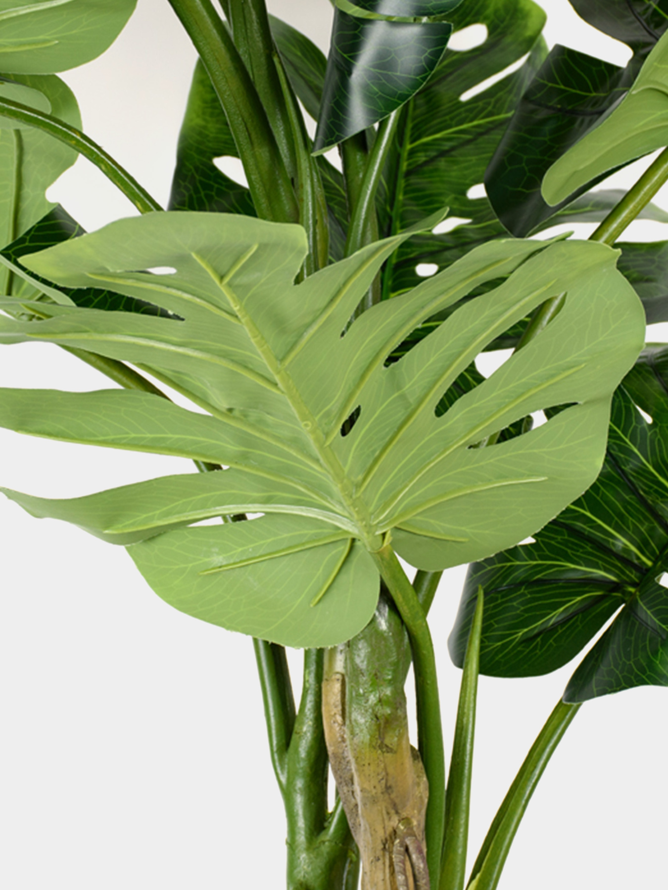 Искусственное растение "Monstera" Engard модель TW-05 Фото