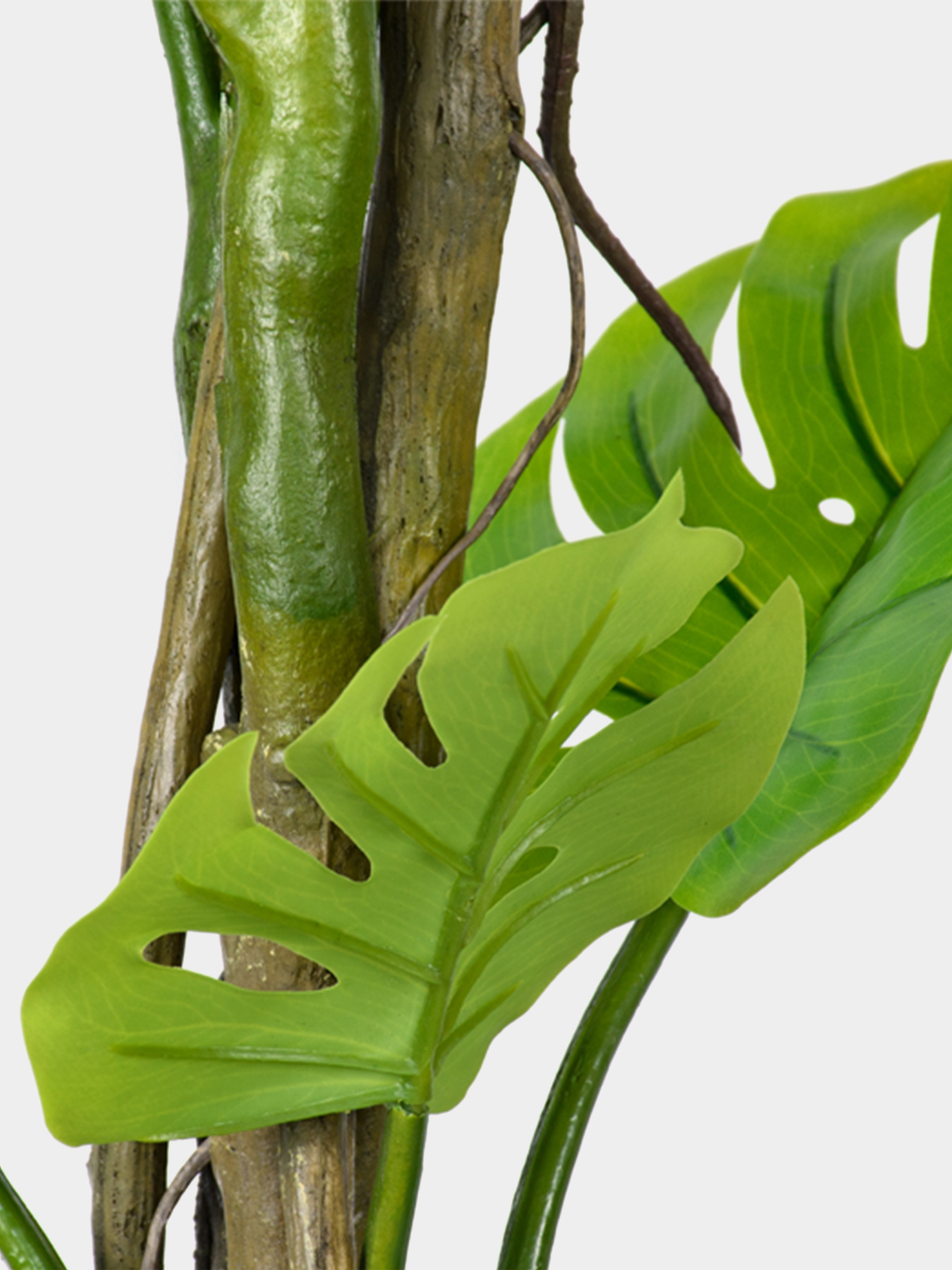 Искусственное растение "Monstera" Engard модель TW-05 Фото