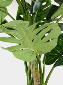 Искусственное растение "Monstera" Engard модель TW-05 Фото