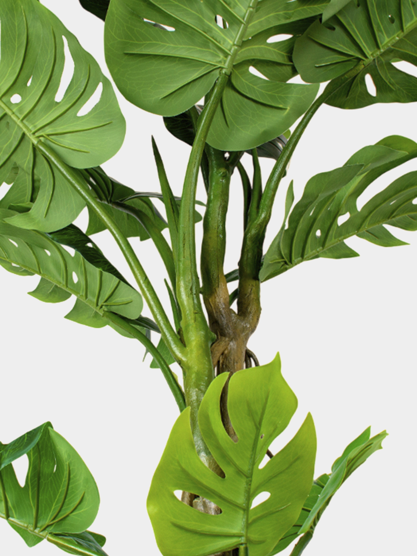 Штучна рослина "Monstera" Engard модель TW-05 Фото