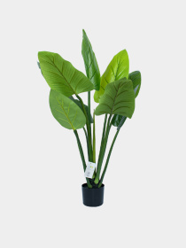 Искусственное растение "Philodendron" Engard модель TW-38 Фото