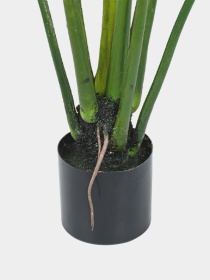 Искусственное растение "Philodendron" Engard модель TW-39 Фото