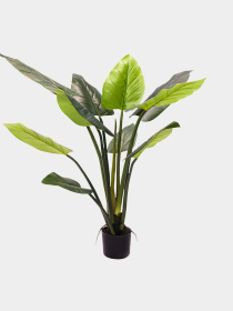 Искусственное растение "Philodendron" Engard модель TW-39 Фото