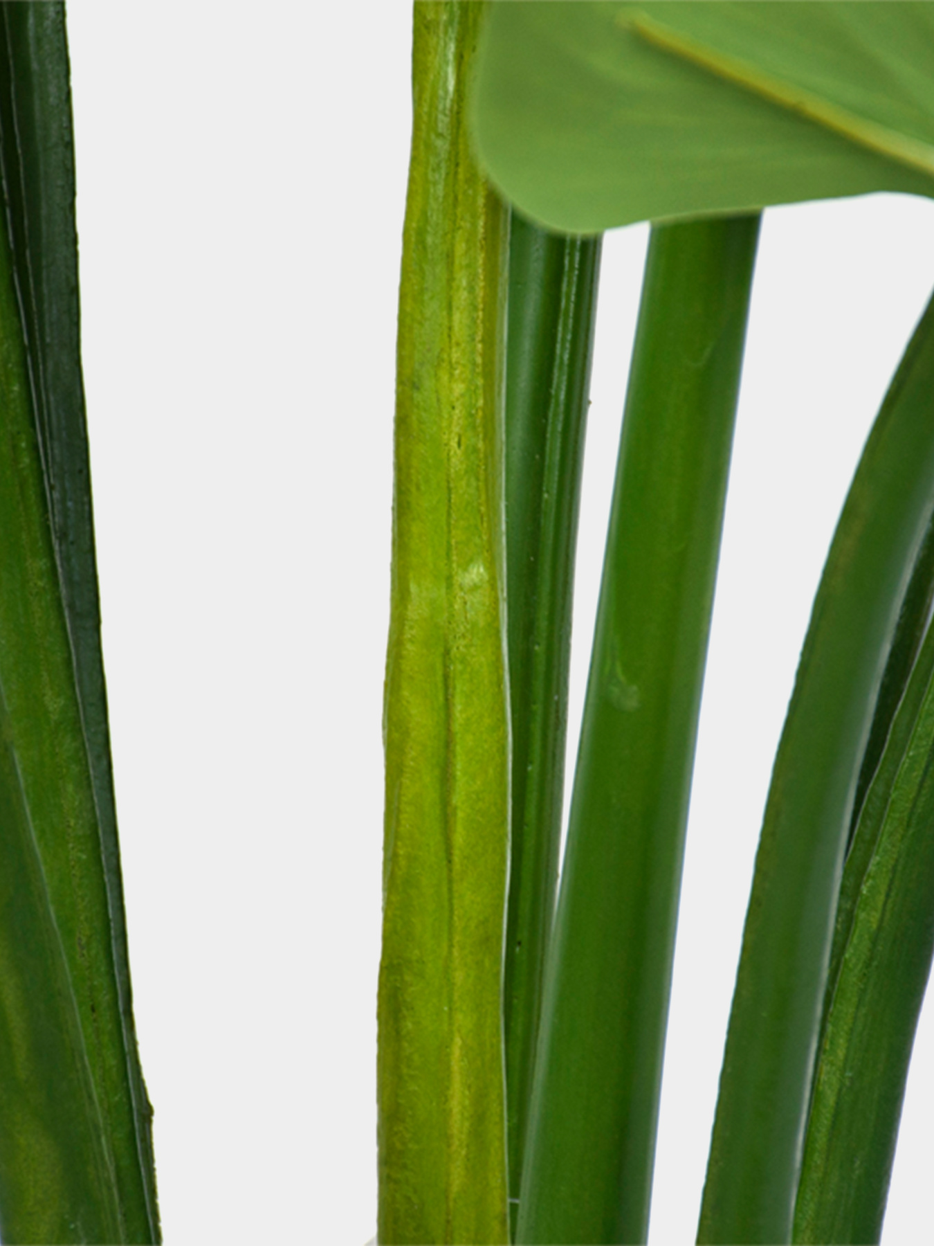 Штучна рослина "Philodendron" Engard модель TW-39 Фото