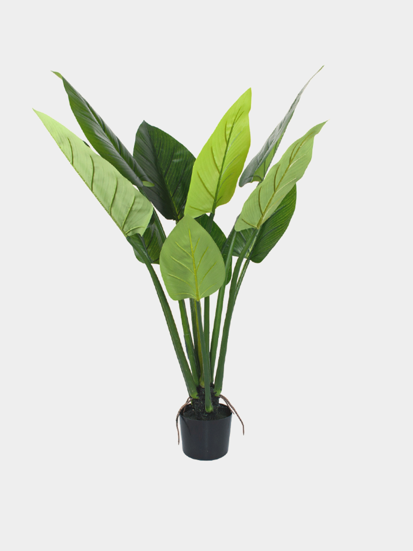 Штучна рослина "Philodendron" Engard модель TW-39 Фото