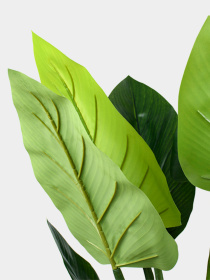 Штучна рослина "Philodendron" Engard модель TW-39 Фото