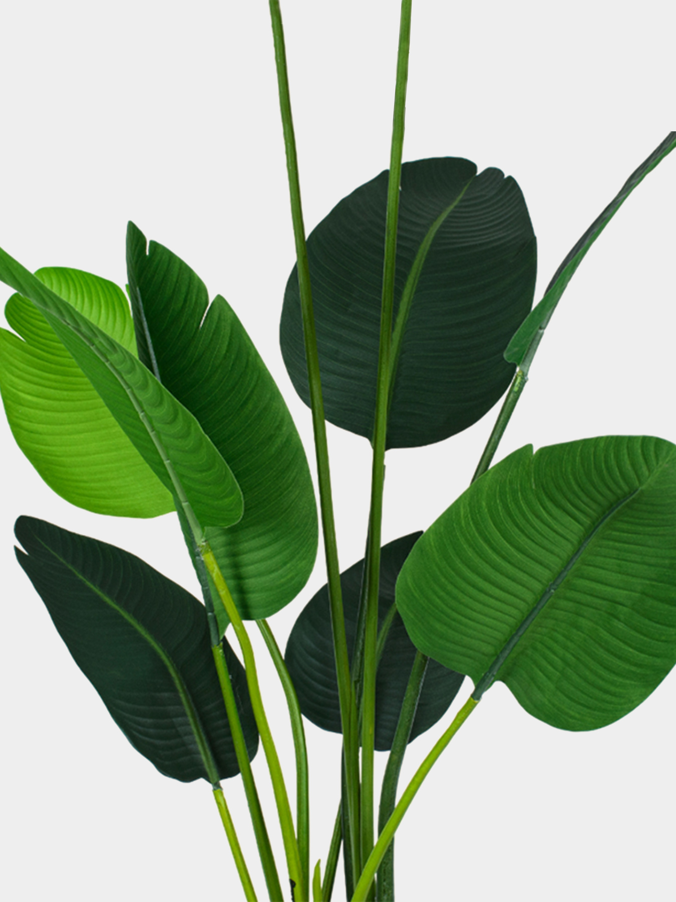 Искусственное растение "Banana Tree" Engard модель TW-09 Фото