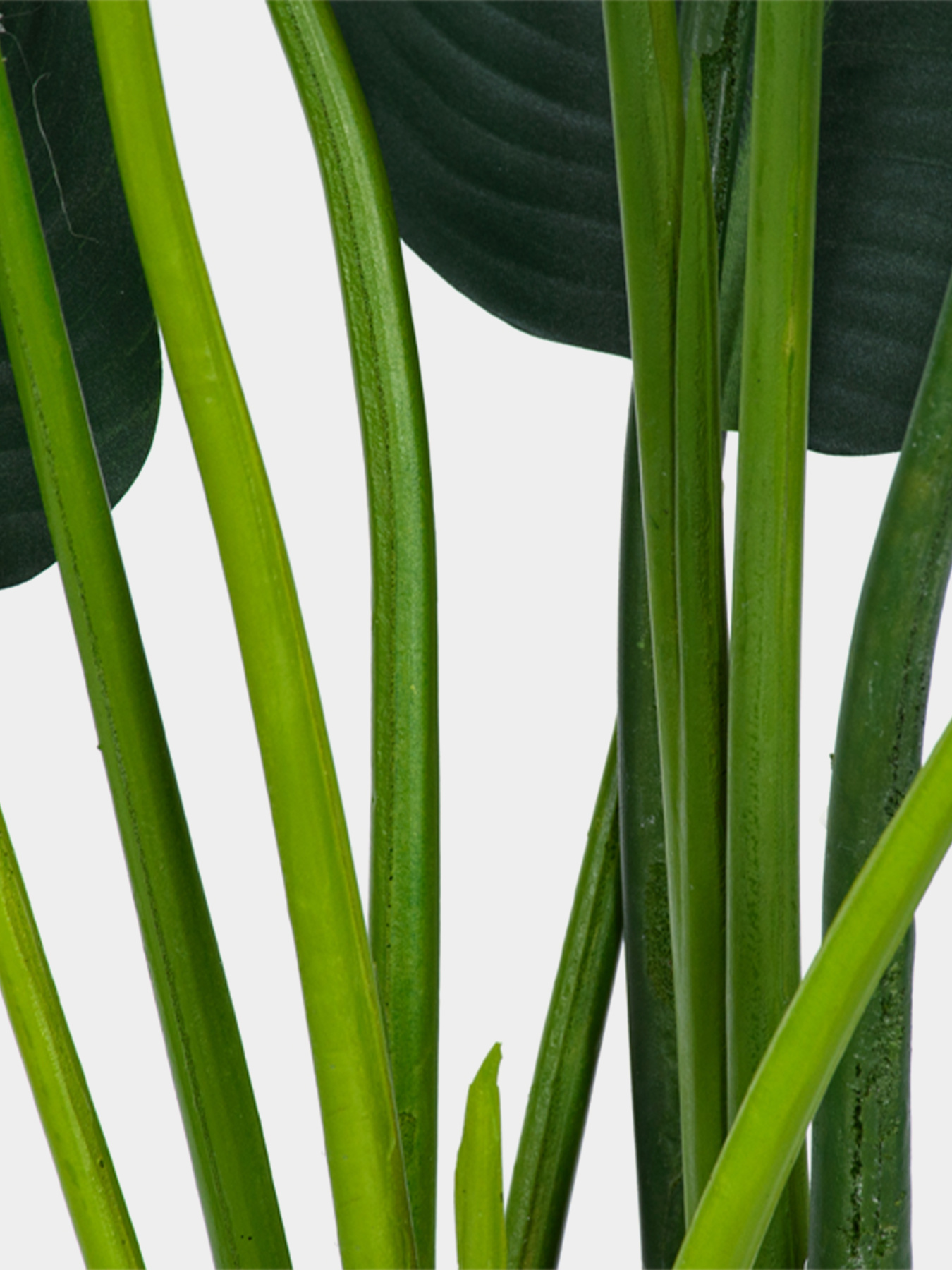 Искусственное растение "Banana Tree" Engard модель TW-09 Фото