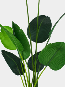 Искусственное растение "Banana Tree" Engard модель TW-09 Фото