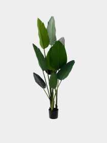 Искусственное растение "Banana Tree" Engard модель TW-09 Фото