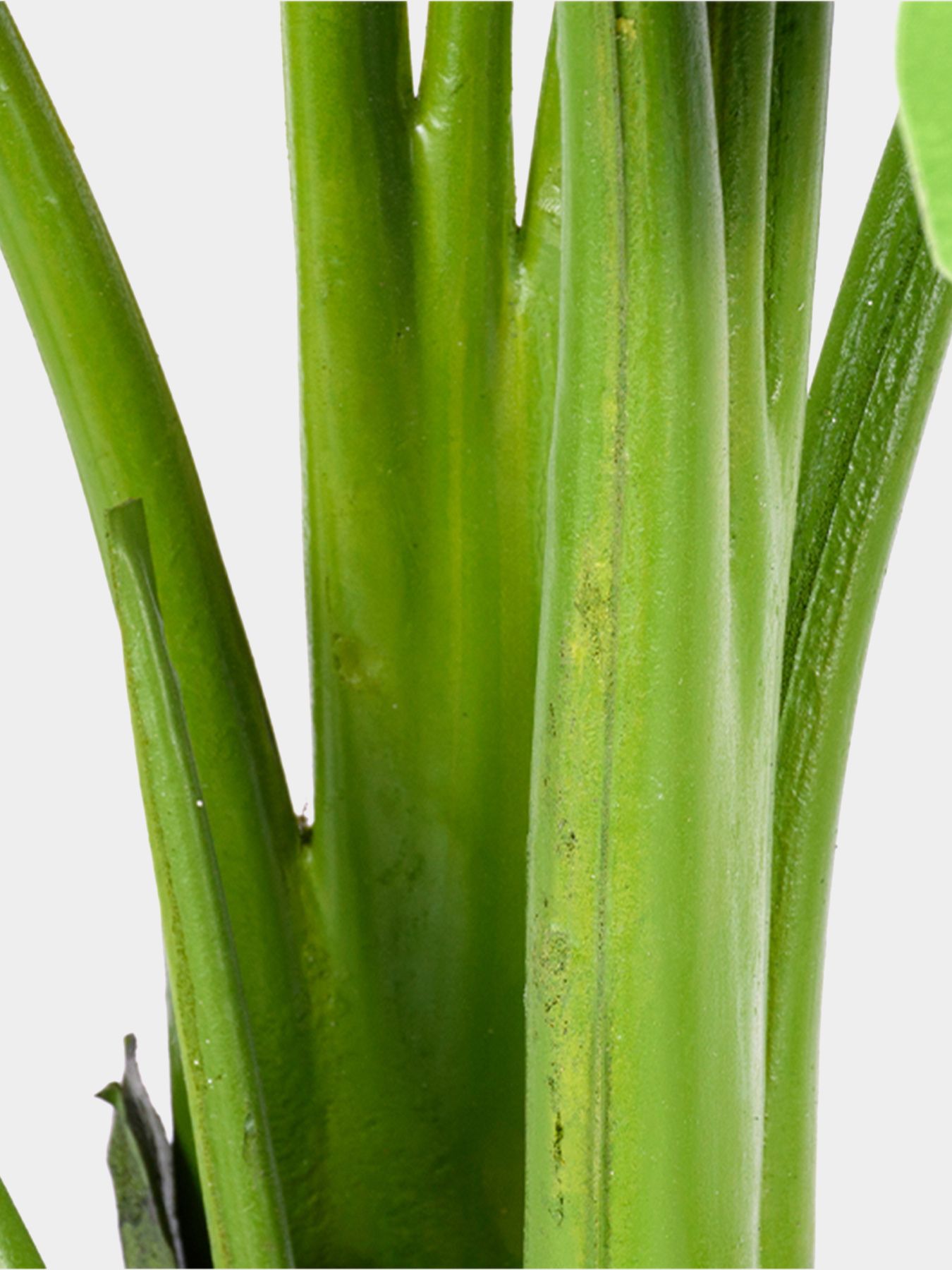 Искусственное растение "Banana Tree", 120 см Engard модель TW-24 Фото