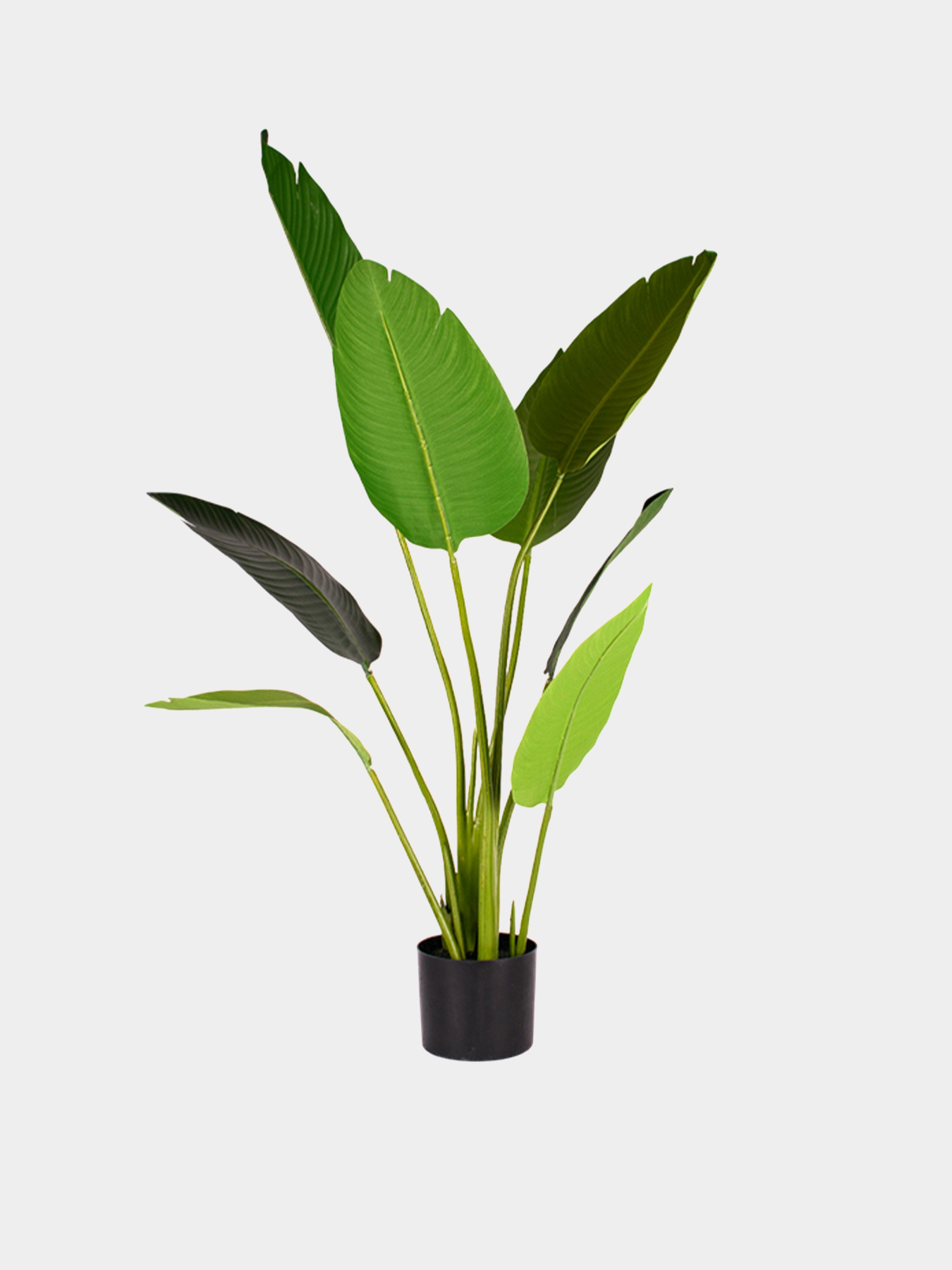 Искусственное растение "Banana Tree", 120 см Engard модель TW-24 Фото