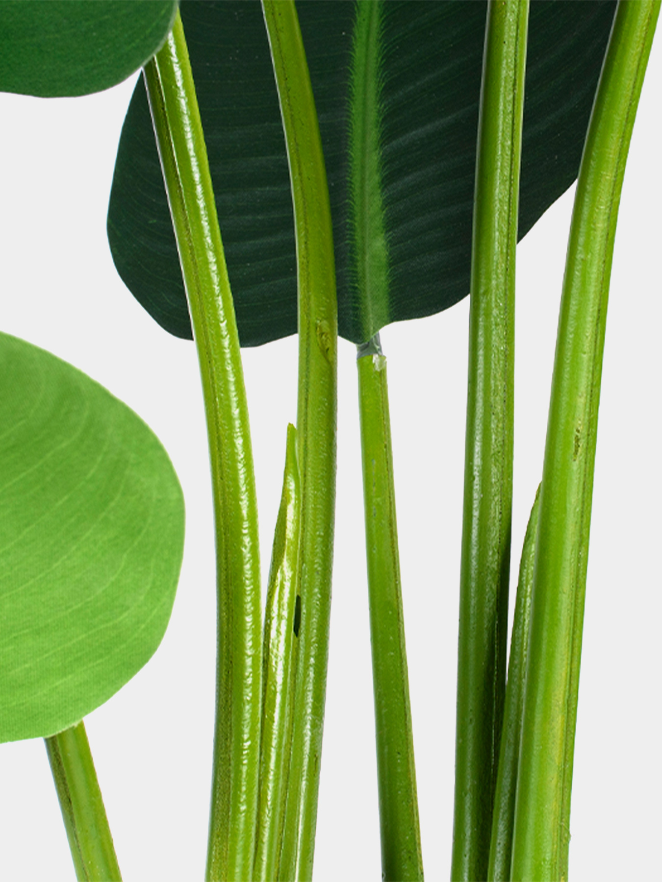 Искусственное растение "Banana Tree", 120 см Engard модель TW-24 Фото