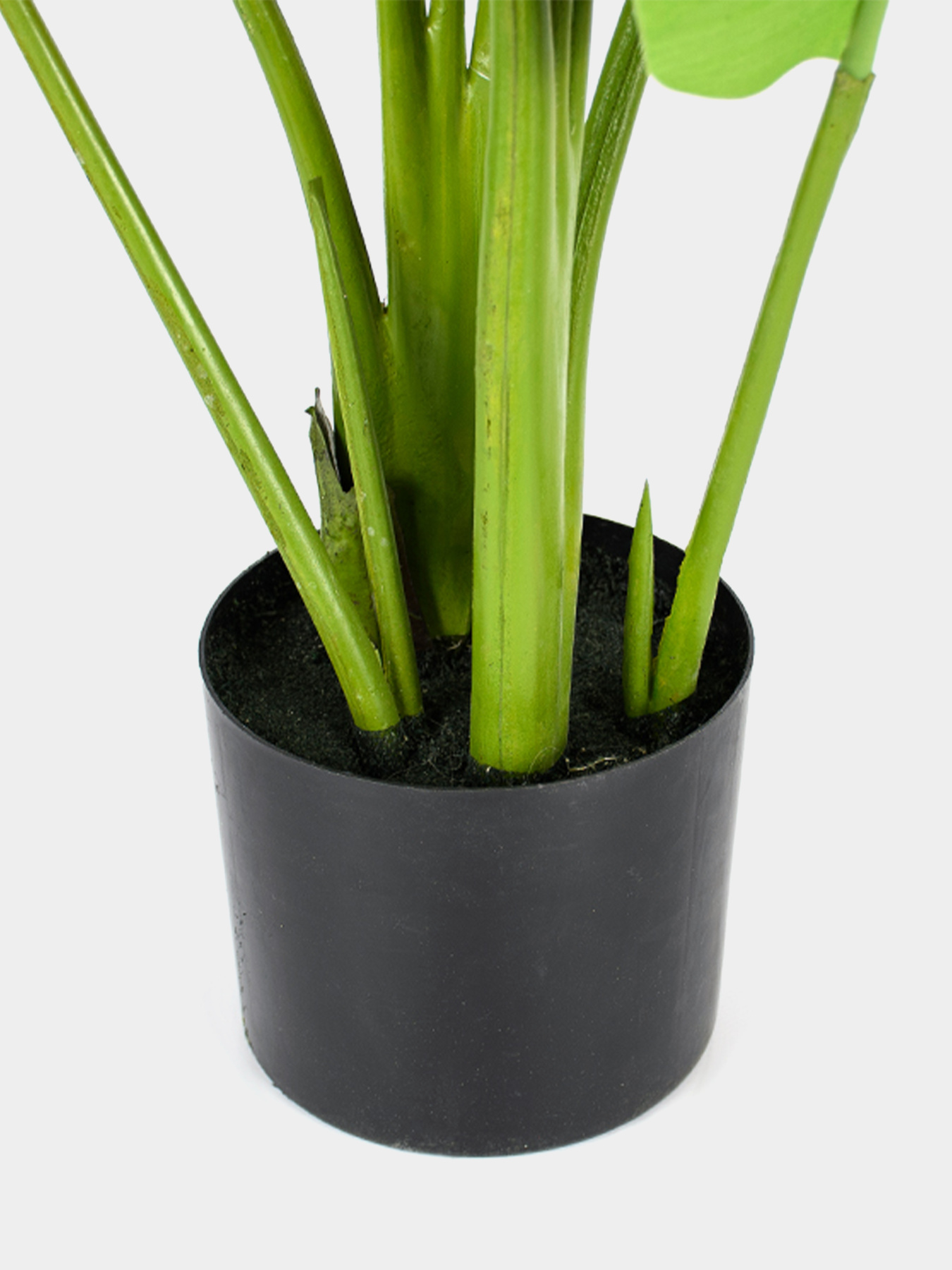 Искусственное растение "Banana Tree", 120 см Engard модель TW-24 Фото