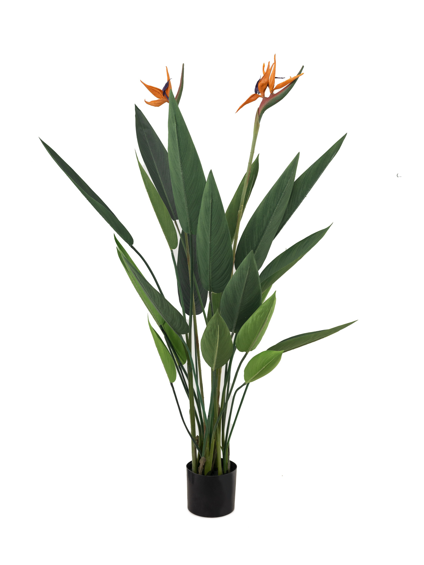 Искусственное растение "Strelitzia", 120 см Engard модель TW-25 Фото