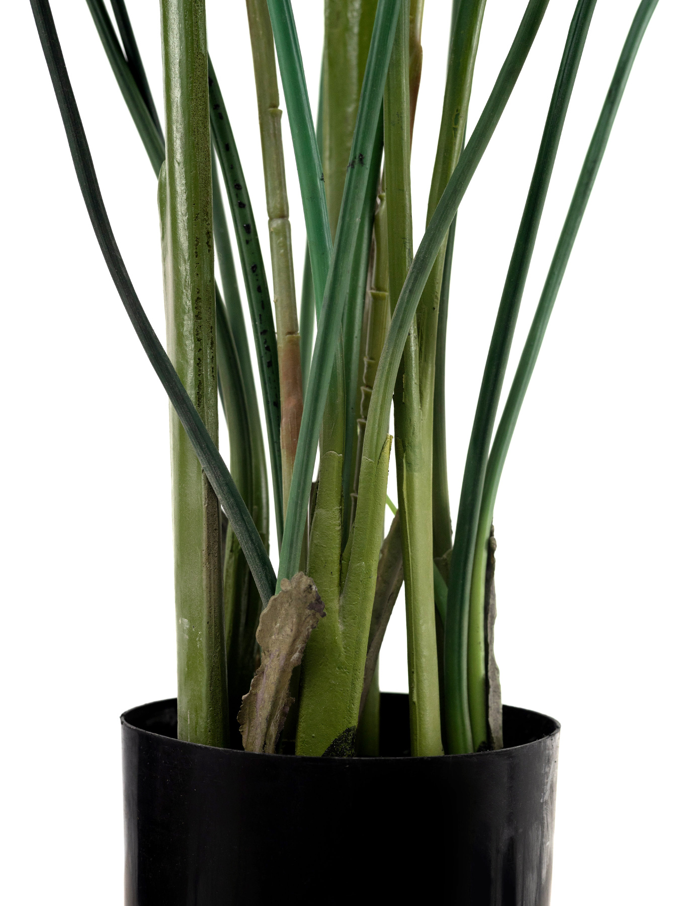 Искусственное растение "Strelitzia", 120 см Engard модель TW-25 Фото