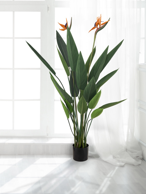 Штучна рослина "Strelitzia" Engard модель TW-25 Фото