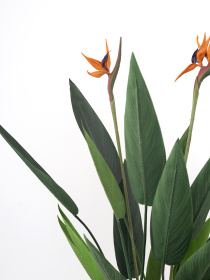 Искусственное растение "Strelitzia", 120 см Engard модель TW-25 Фото