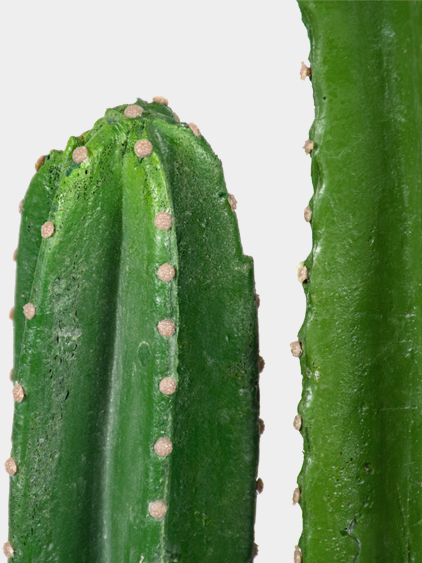 Искусственное растение "Cactus" Engard модель TW-40 Фото