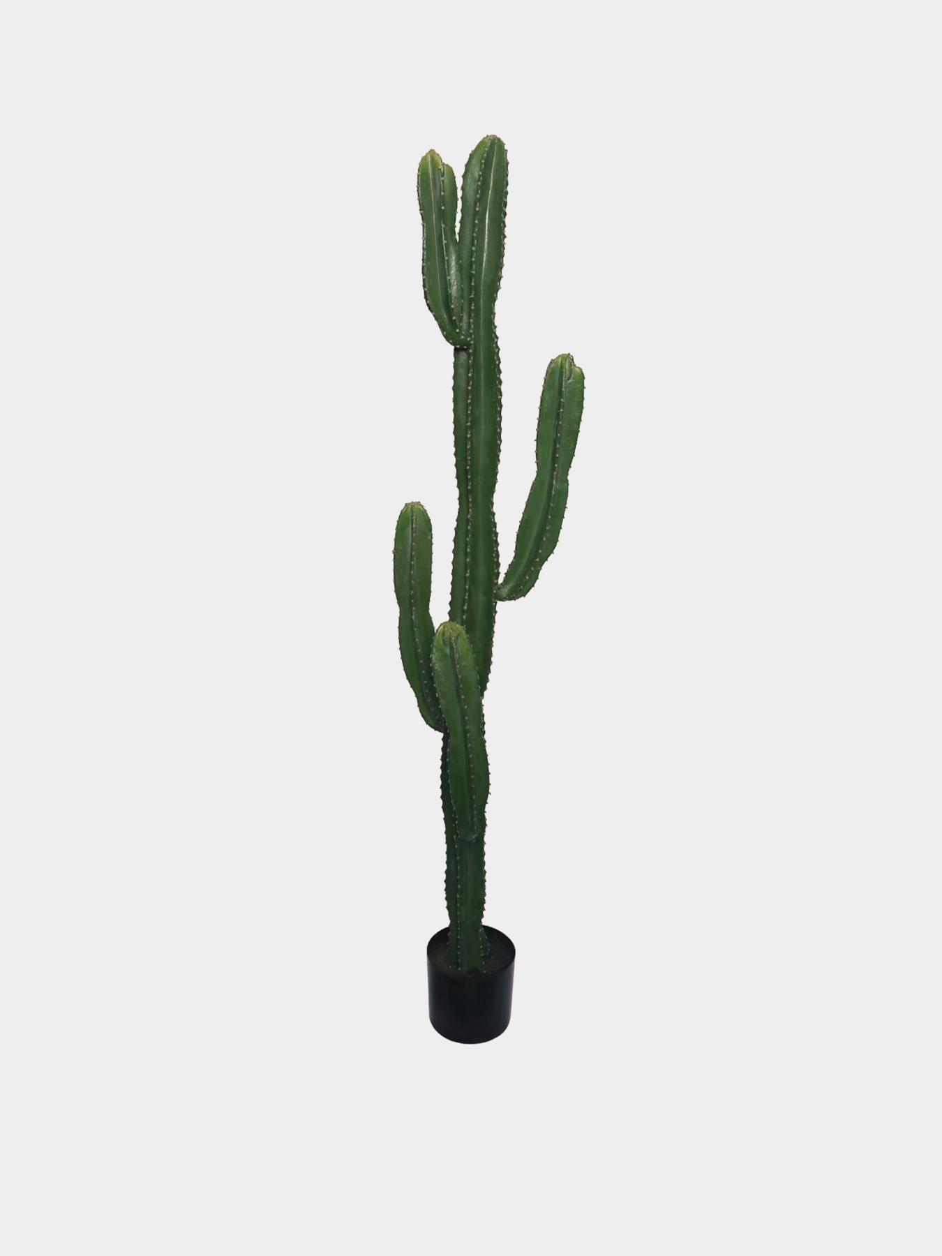 Искусственное растение "Cactus" Engard модель TW-40 Фото