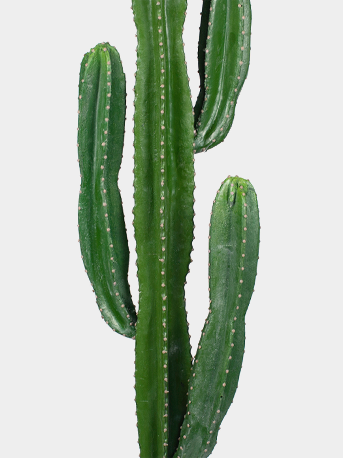 Штучна рослина "Cactus" Engard модель TW-40 Фото