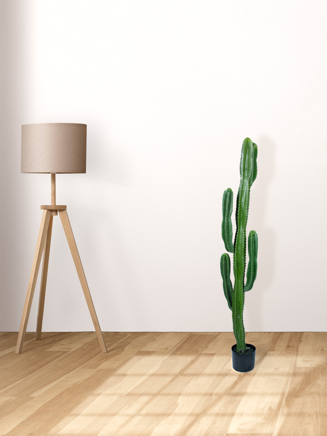 Штучна рослина "Cactus" Engard модель TW-40 Фото