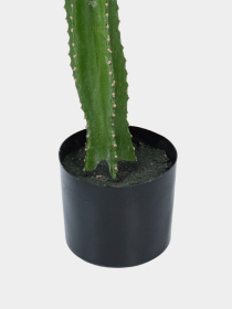 Штучна рослина "Cactus" Engard модель TW-40 Фото