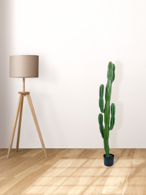Штучна рослина "Cactus" Engard модель TW-40 Фото