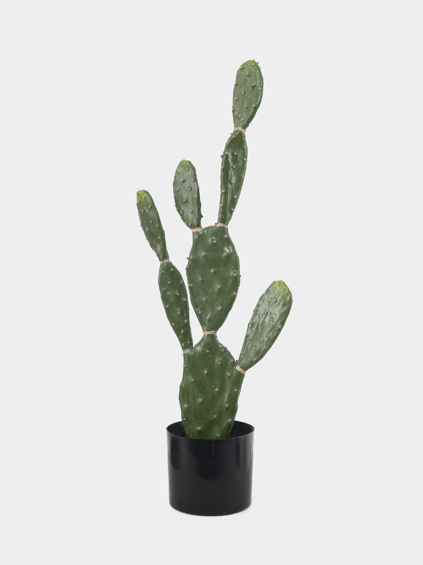 Искусственное растение "Cactus", 75 cм Engard модель TW-41 Фото