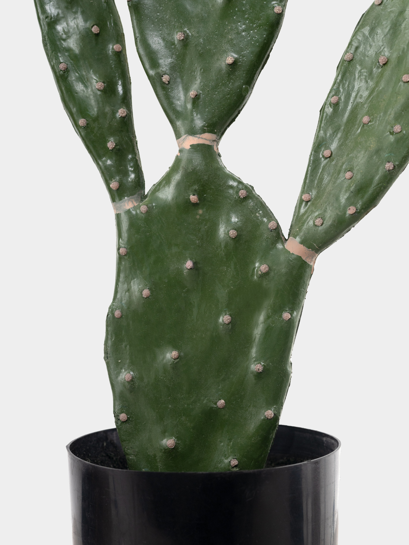 Искусственное растение "Cactus", 75 cм Engard модель TW-41 Фото