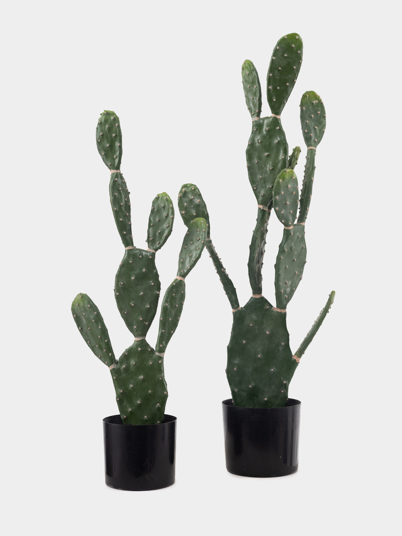 Искусственное растение "Cactus", 75 cм Engard модель TW-41 Фото