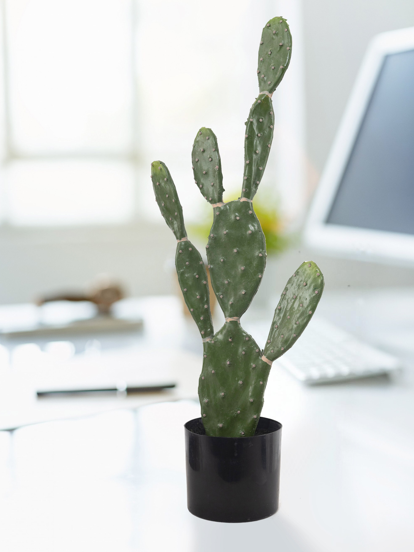 Искусственное растение "Cactus", 75 cм Engard модель TW-41 Фото