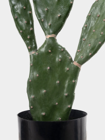 Штучна рослина "Cactus", 75 cм Engard модель TW-41 Фото