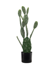 Искусственное растение "Cactus", 95 cм Engard модель TW-42 Фото