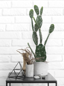 Искусственное растение "Cactus", 95 cм Engard модель TW-42 Фото