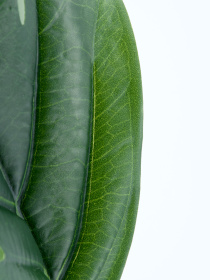 Искуственный лист "Monstera" Engard модель TW-48 Фото