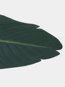 Искуственный лист "Banana Tree" Engard модель TW-52 Фото